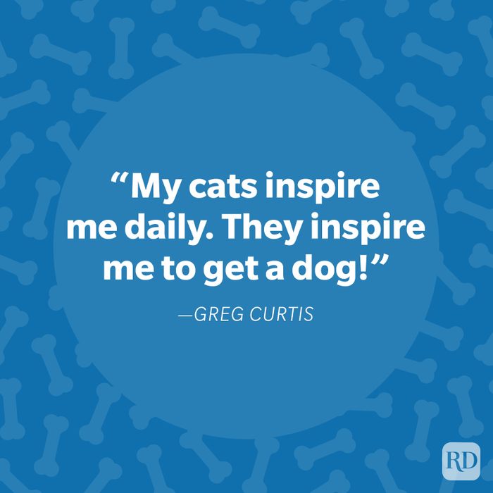 Greg Curtis Dog Quote