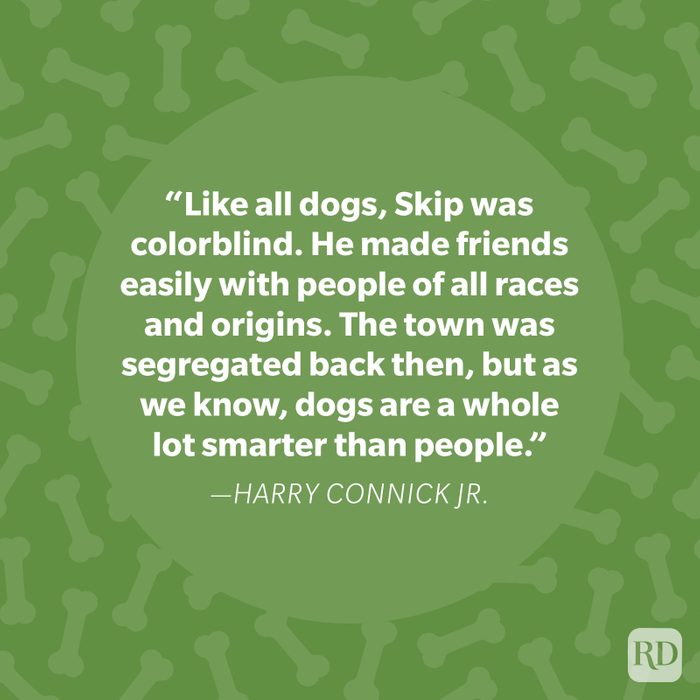 Harry Connick Jr Dog Quote