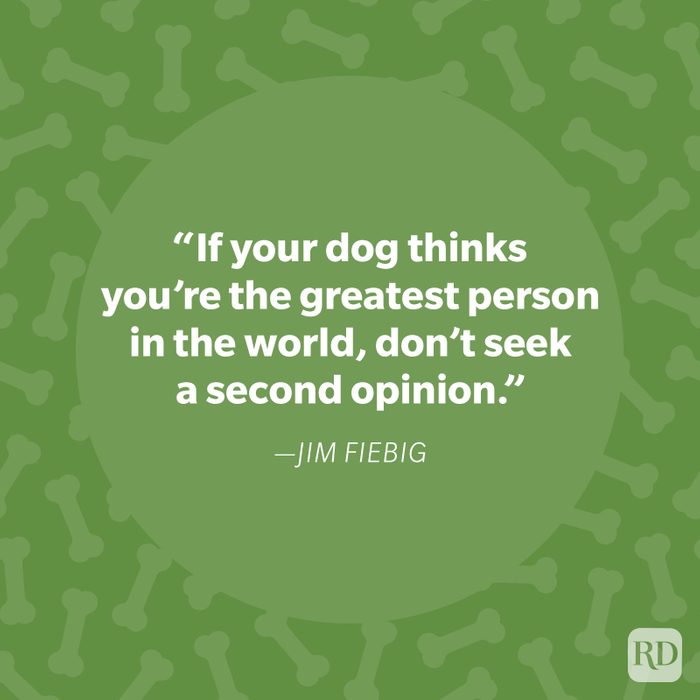 Jim Fiebig Dog Quote