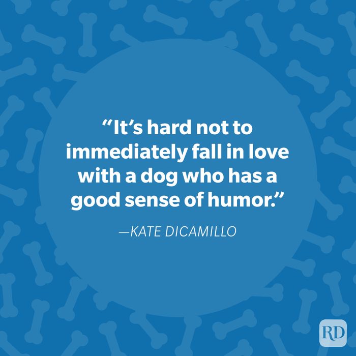 Kate Dicamillo Dog Quote