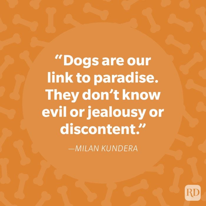 Milan Kundera Dog Quote