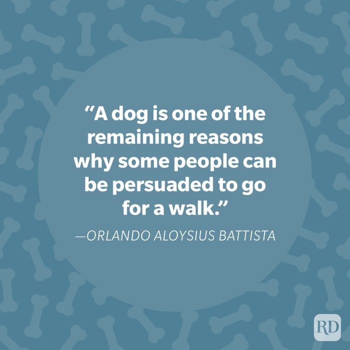 Orlando Aloysius Battista Dog Quote