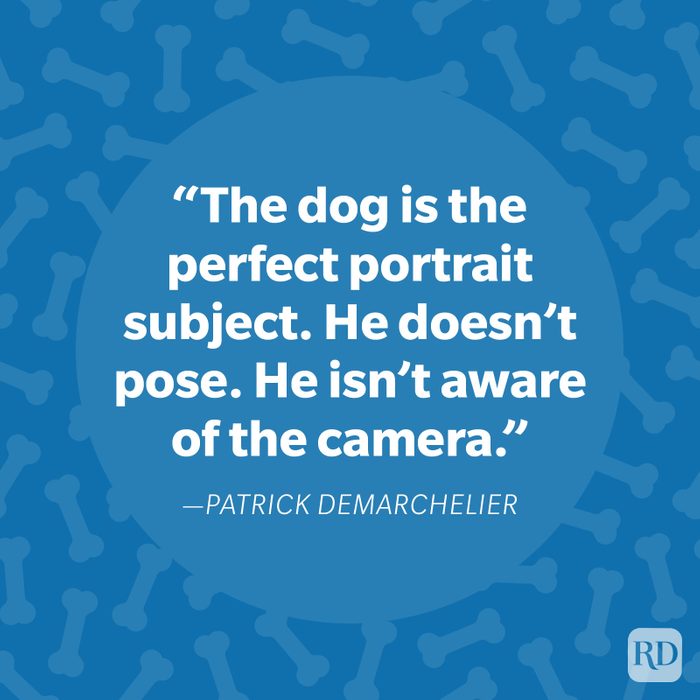 Patrick Demarchelier Dog Quote