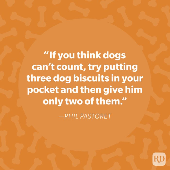 Phil Pastoret Dog Quote