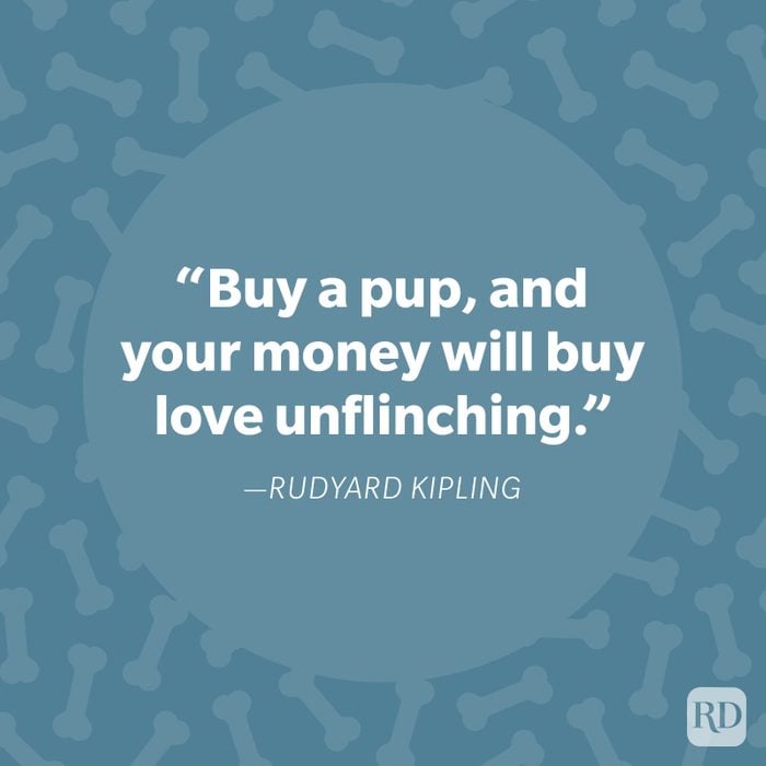 Rudyard Kipling Dog Quote