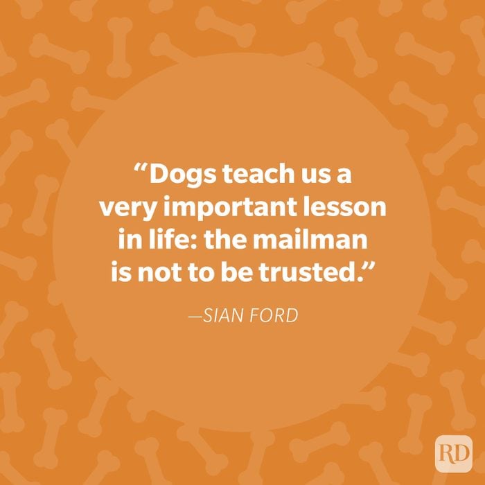 Sian Ford Dog Quote