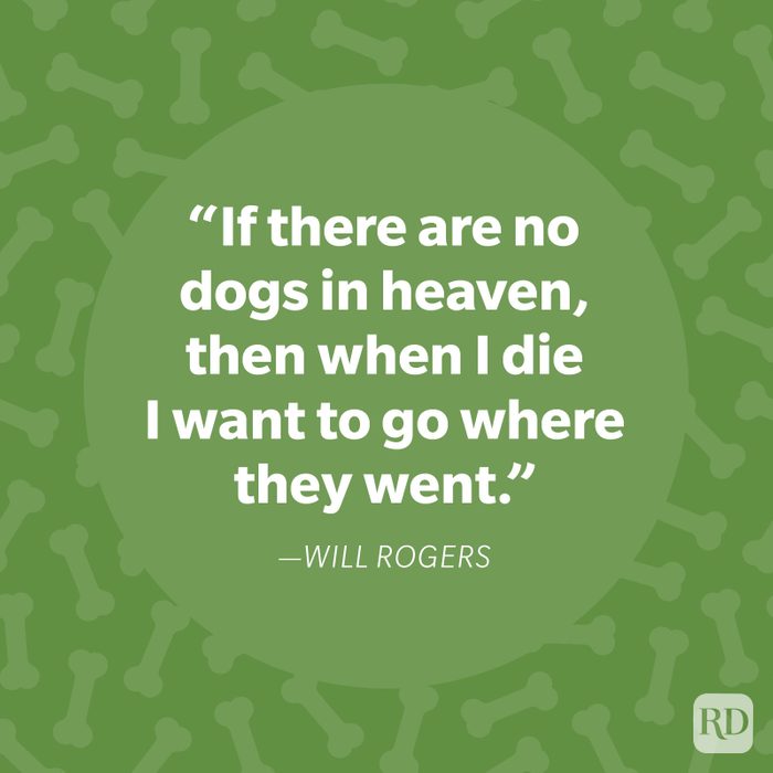 Will Rogers Dog Quote
