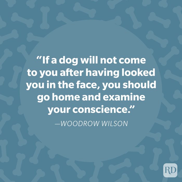 Woodrow Wilson Dog Quote