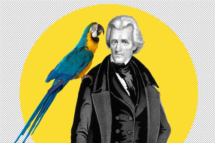 Andrew Jackson and Parrot