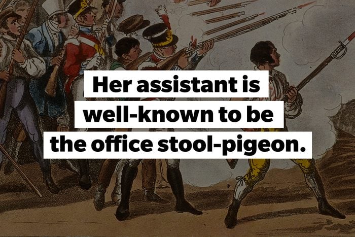 slang words Stool-pigeon