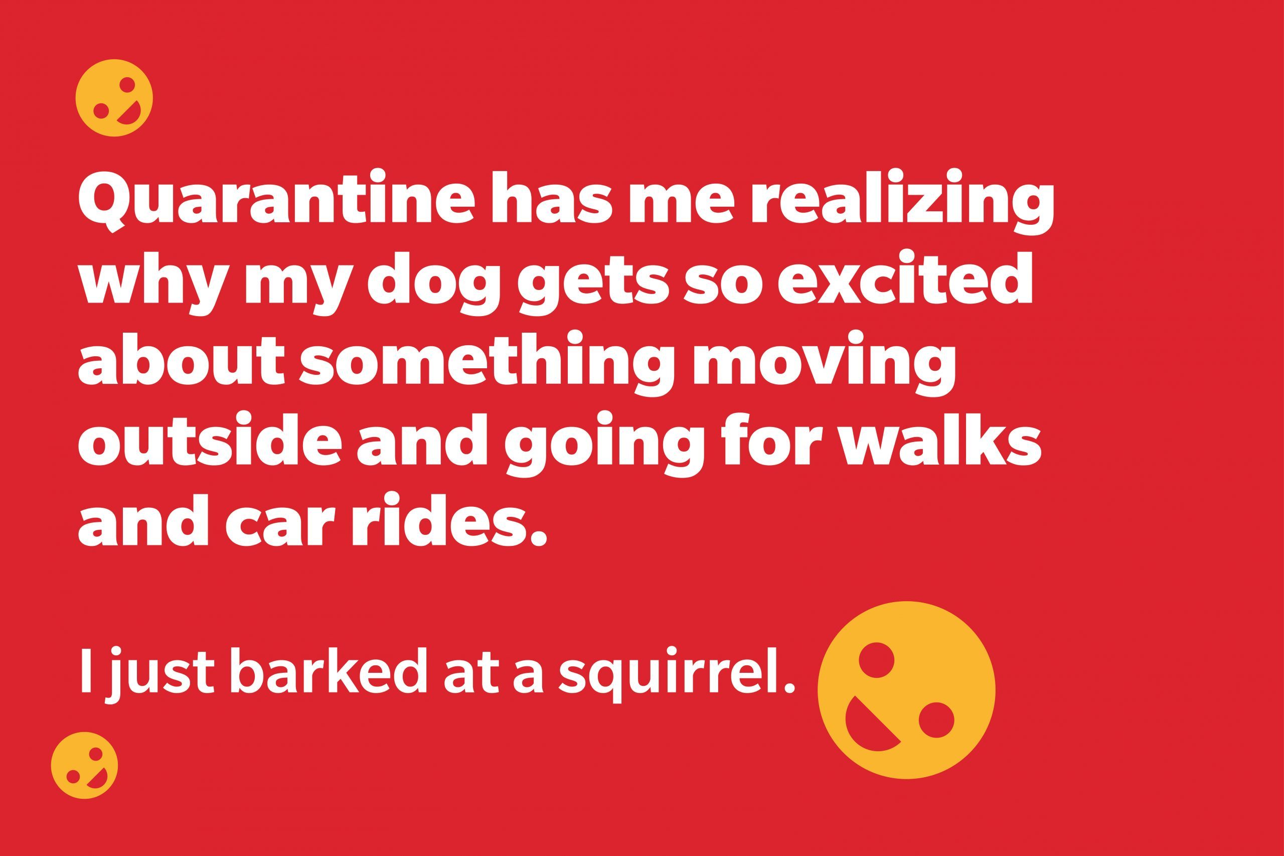 Quarantine Quotes That Are Actually Pretty Funny Reader S Digest