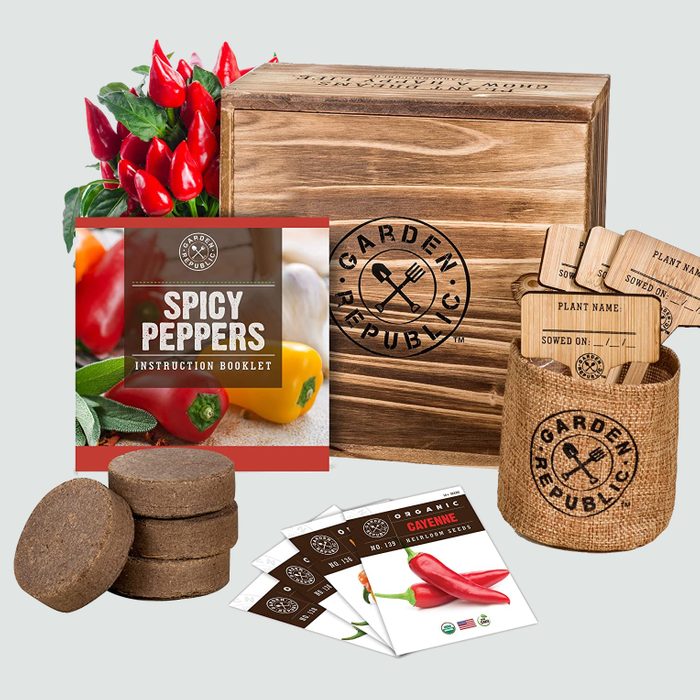 spicy pepper growing kit