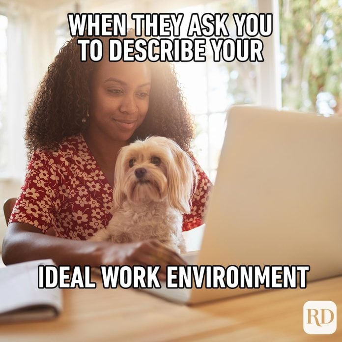 Woman working with a dog on her lap. Meme text: When they ask you to describe your ideal work environment