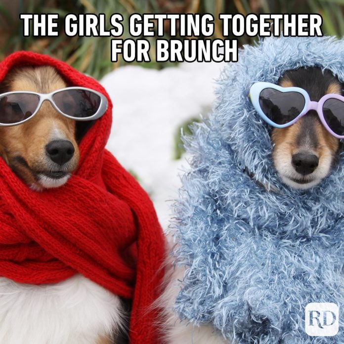 Meme text: The girls getting together for brunch