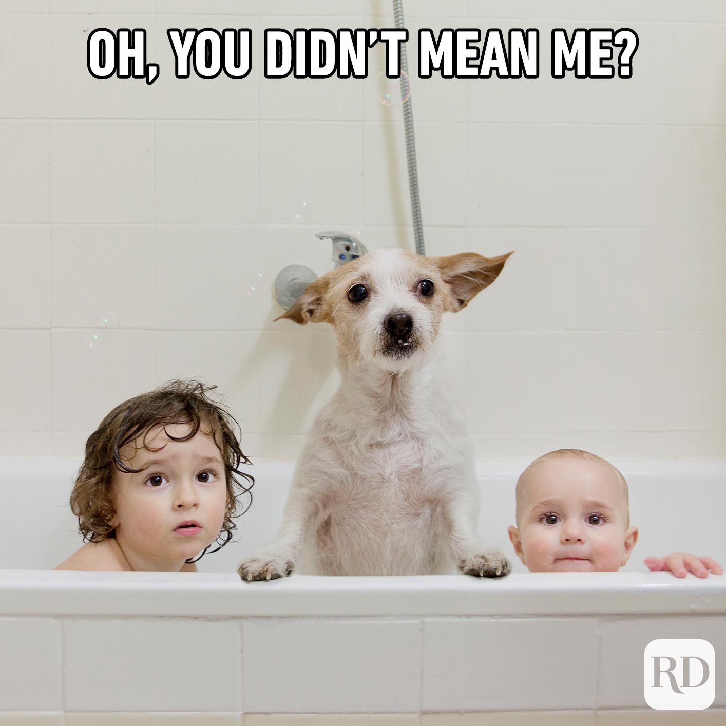 Dog beside two children in bathtub. Meme text: Oh, you didn’t mean me?