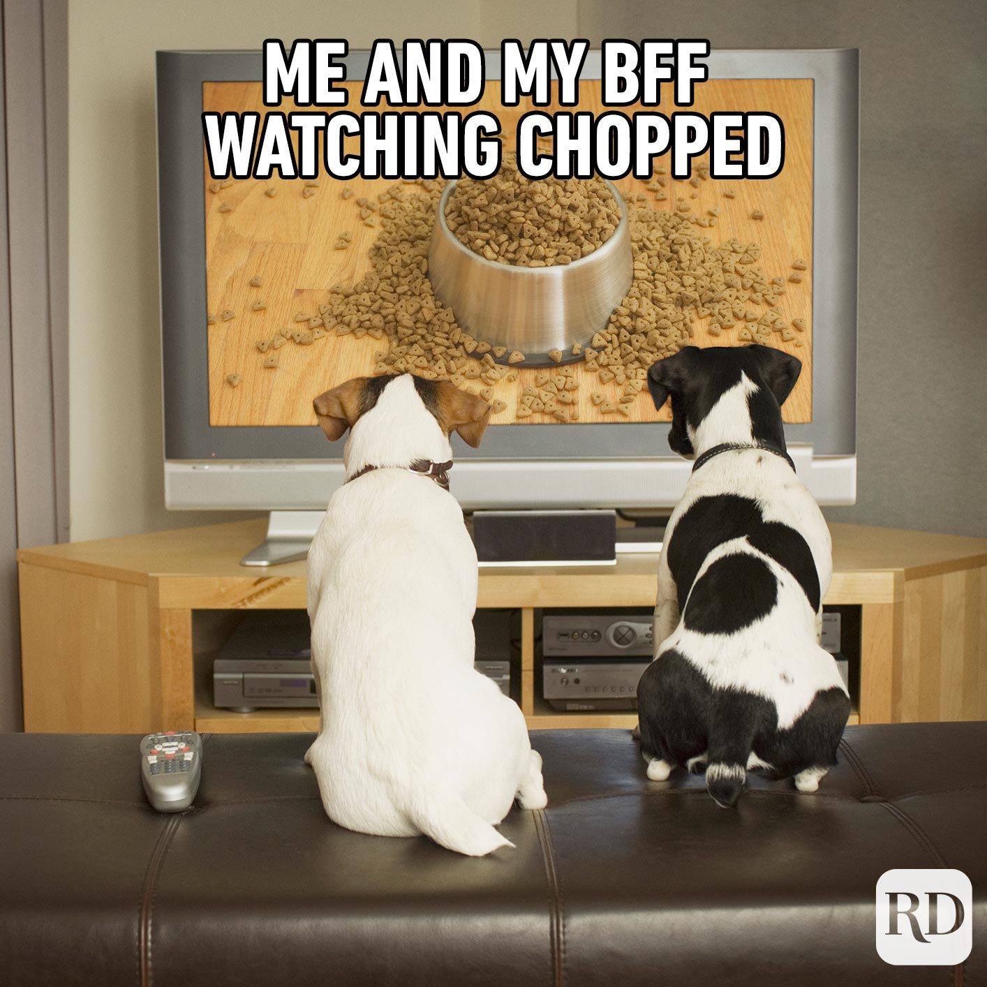 Two dogs watching a kibble commercial on TV. Meme text: Me and my bff watching Chopped