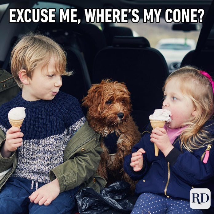 Dog staring at two children who are eating ice cream. Meme text: Excuse me, where’s my cone?