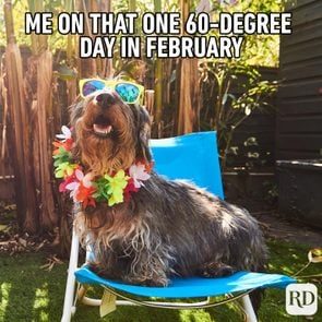 Dog sitting on a lawn chair in flower necklace and sunglasses. Meme text: Me on that one 60-degree day in February