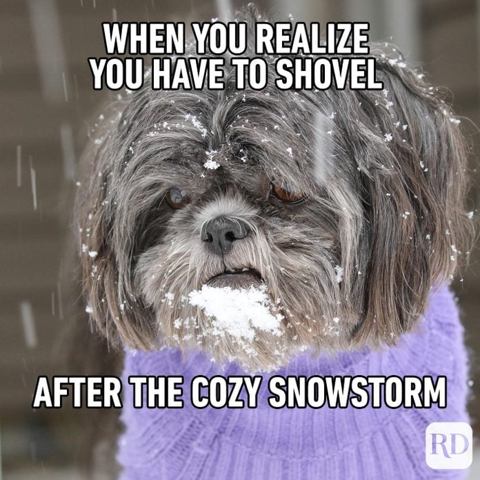 A dog in a sweater looking sadly into snow. Meme text: When you realize you have to shovel after the cozy snowstorm