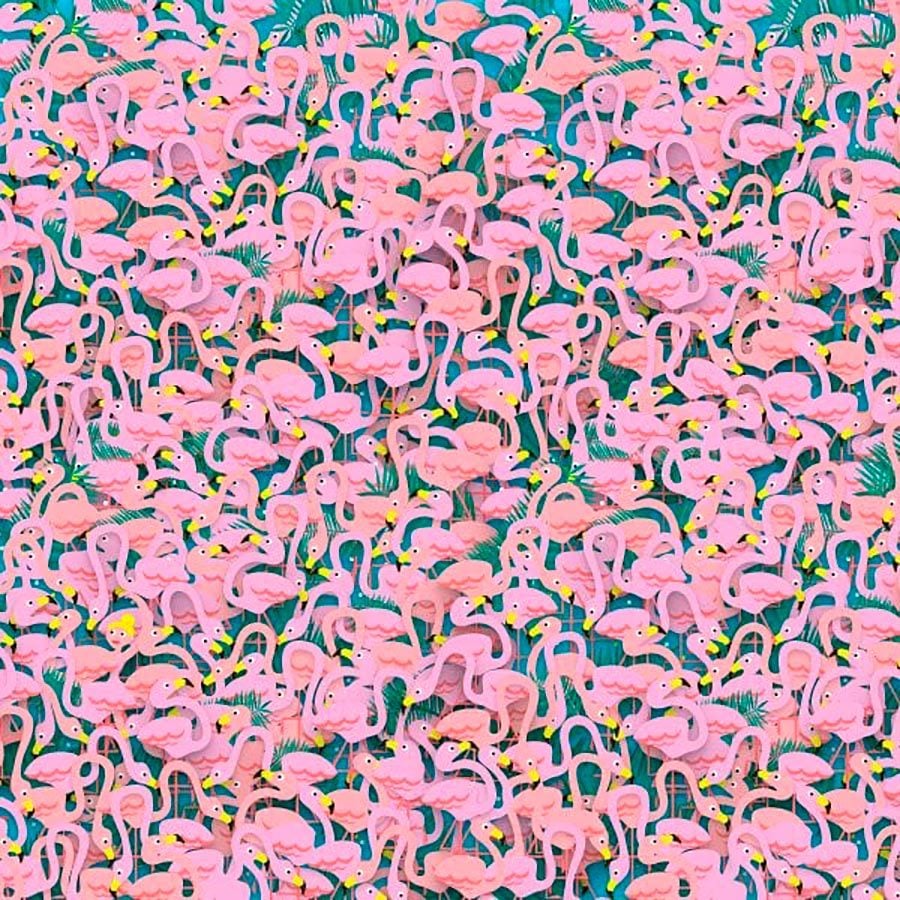 encontrar a bailarina escondida entre o quebra-cabeça flamingos