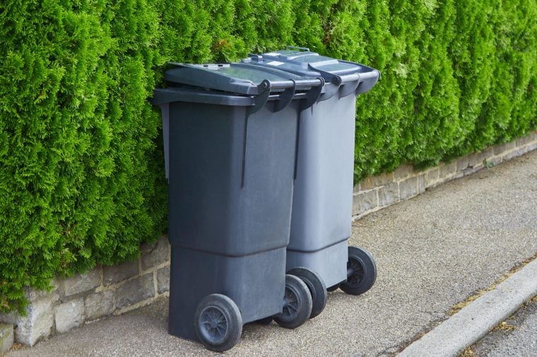 Two plastic garbage cans stand on clean asphalt on a background of green bushes of a thuja on a sunny day. The concept of recycling garbage, city cleanliness