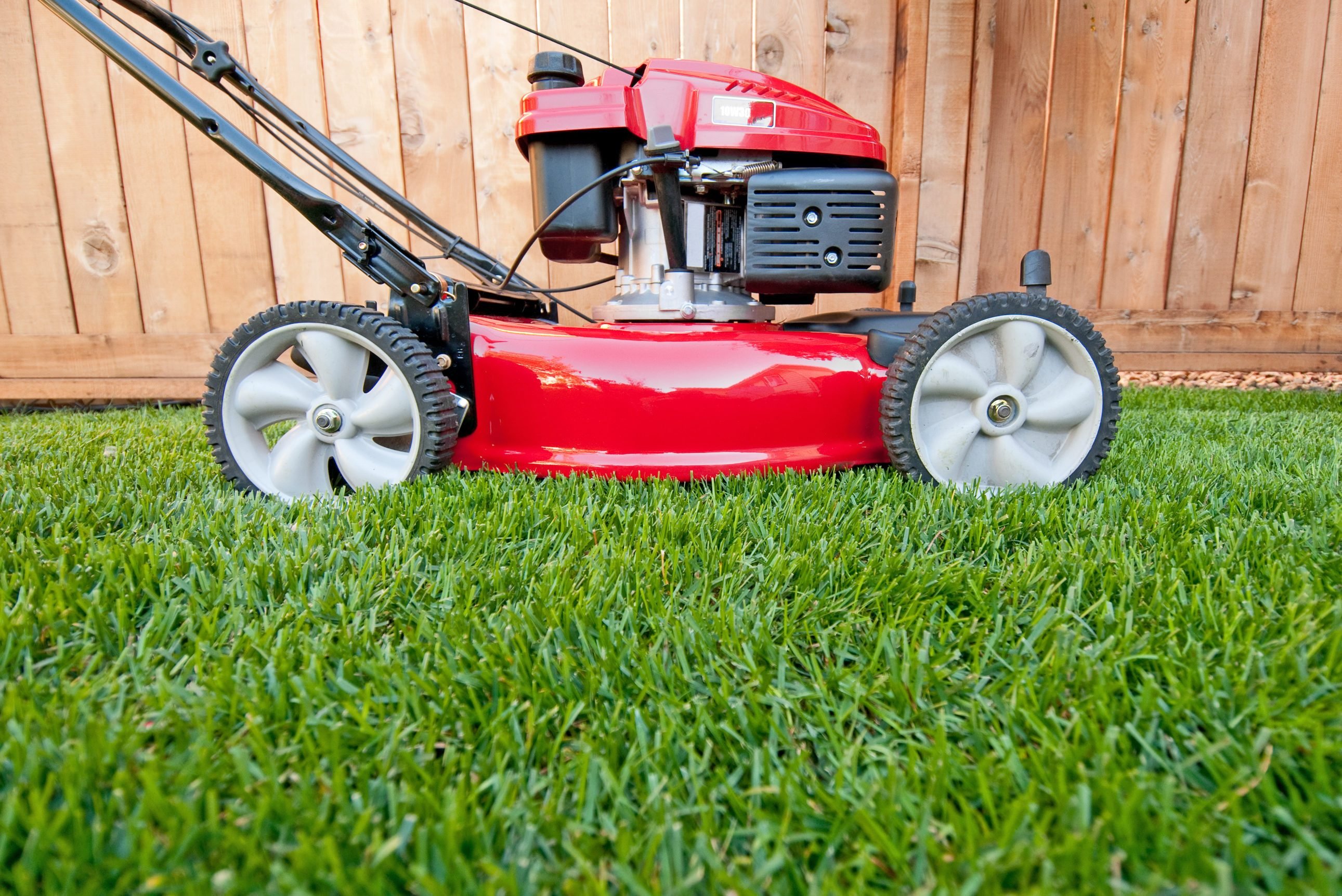 Bright red lawn mower ready for business