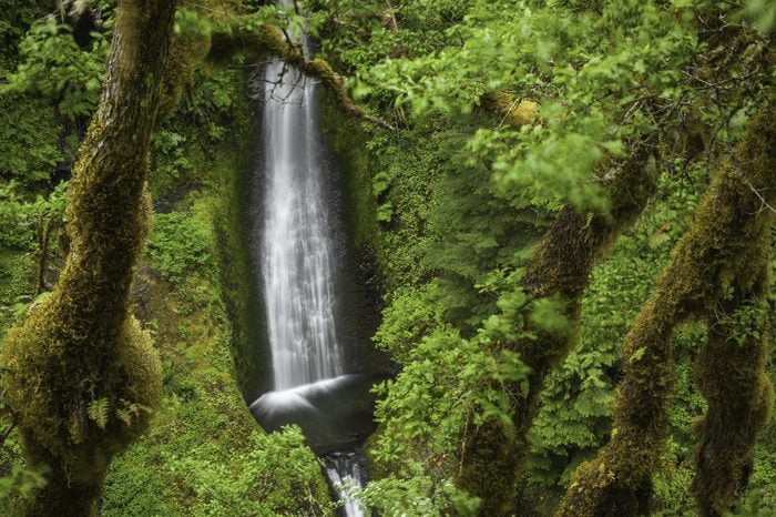 Oregon Eagle Creek trail waterfall Cascades USA