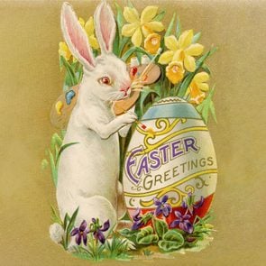historic easter bunny postcard
