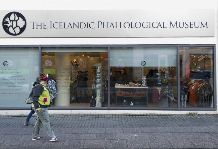 ICELAND-MUSEUM-PENIS-ANIMAL