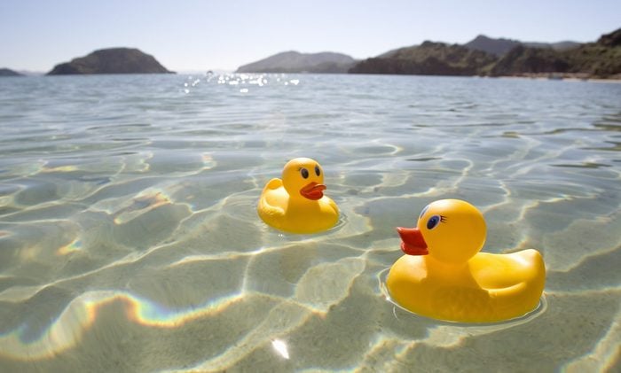 Rubber ducks floating in lake