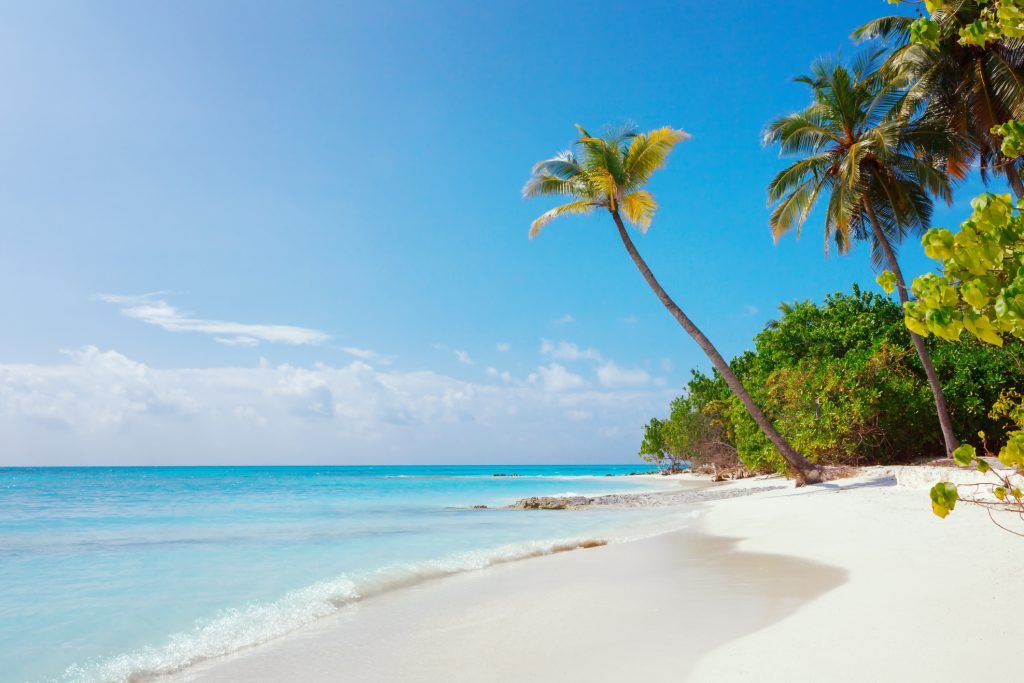 하얀 모래 목가적 인 완벽한 해변과 바다와 곡선 손바닥 몰디브 섬 풀 하두 해변