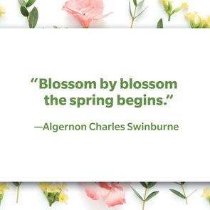 spring quote on floral background