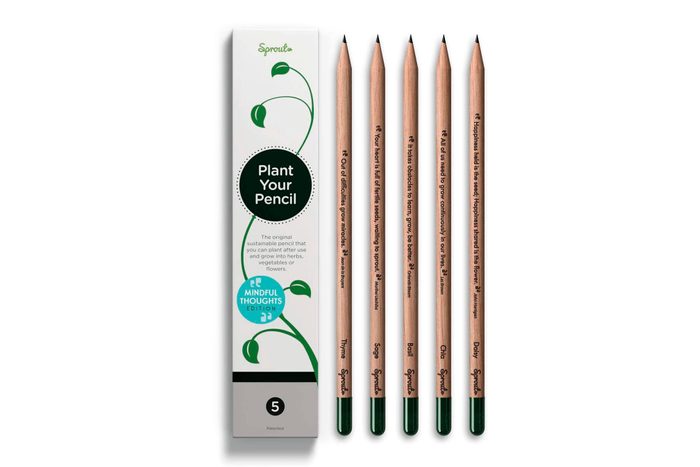 Sprout 5 Pack Graphite Plantable Pencils