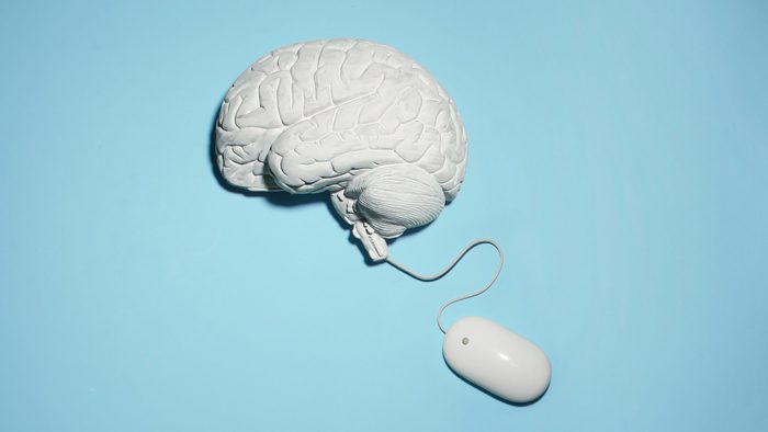 brain connected to a wired computer mouse