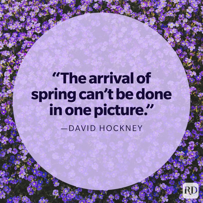 David Hockney spring quote