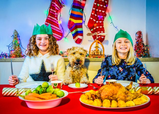 Dog's Dinner, two young sisters at Christmas table with pet dog