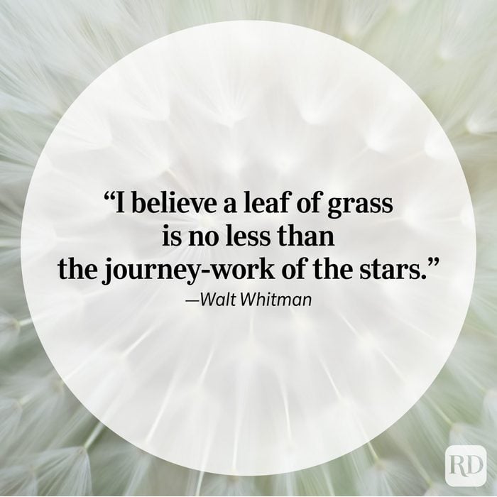 Nature Quote By Walt Whitman