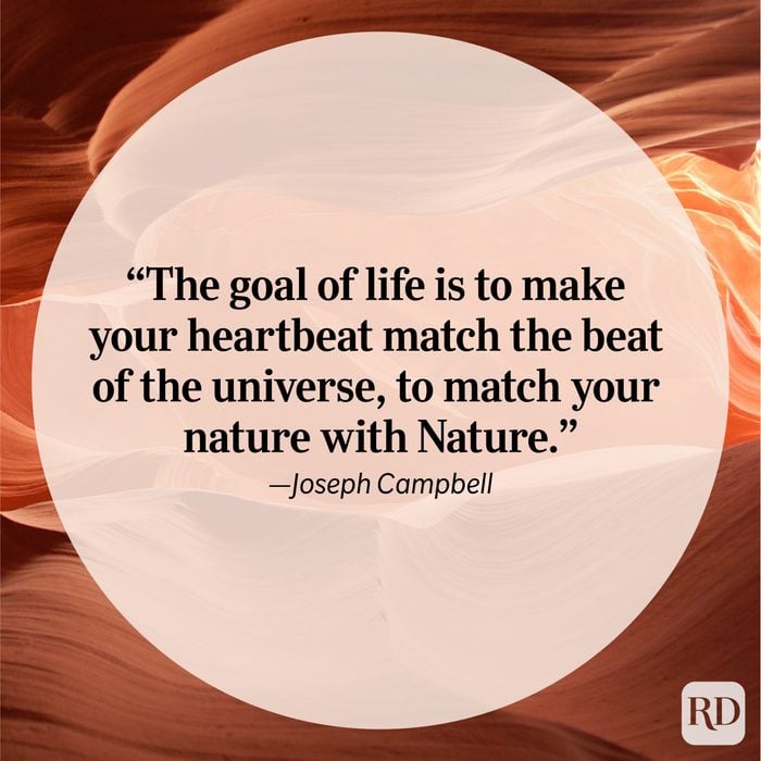 Nature Quote By Joseph Campbell