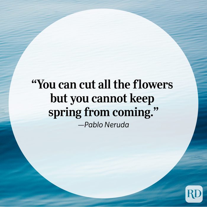 Nature Quote by Pablo Neruda