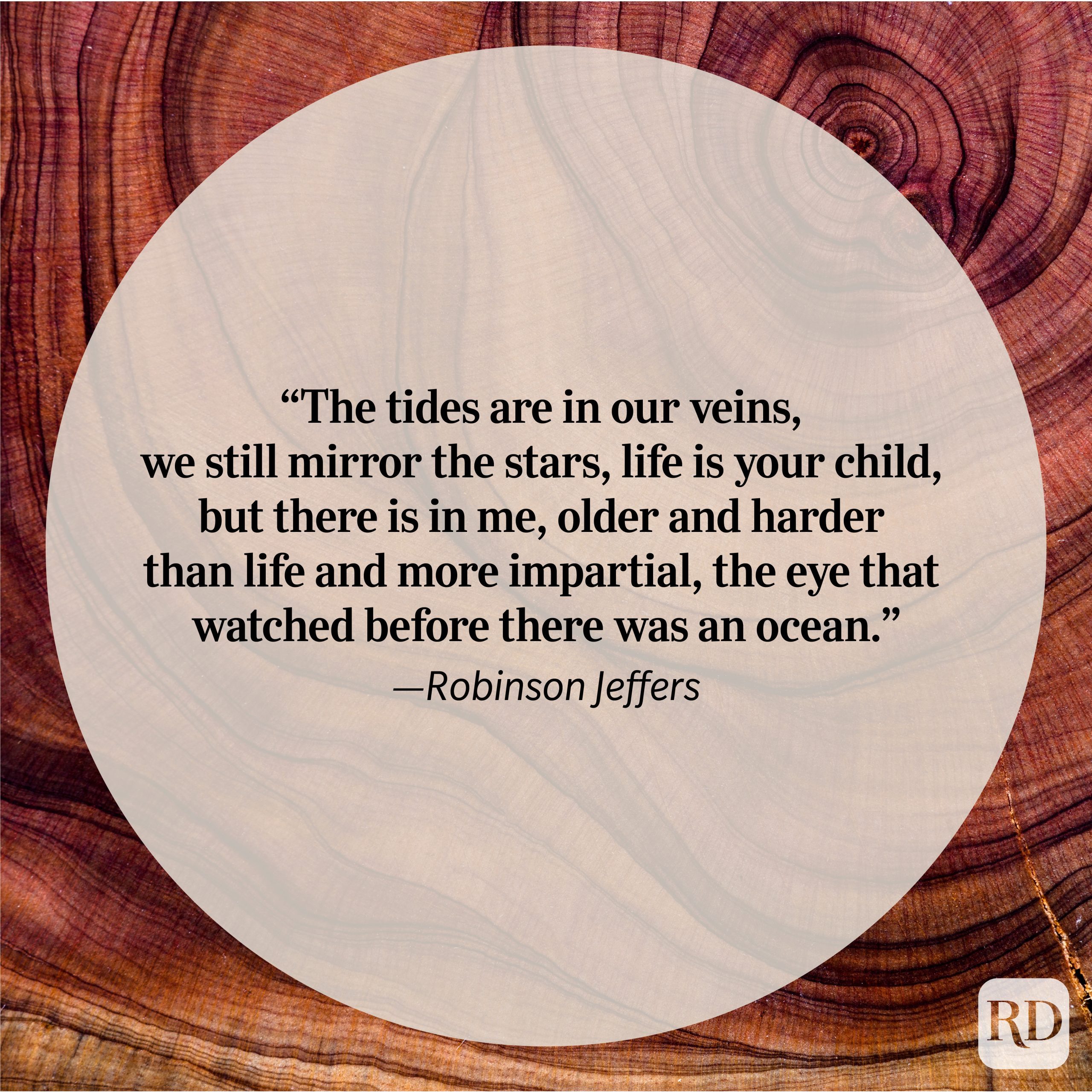 Nature Quote By Robinson Jeffers