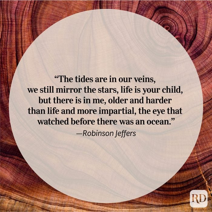 Nature Quote By Robinson Jeffers