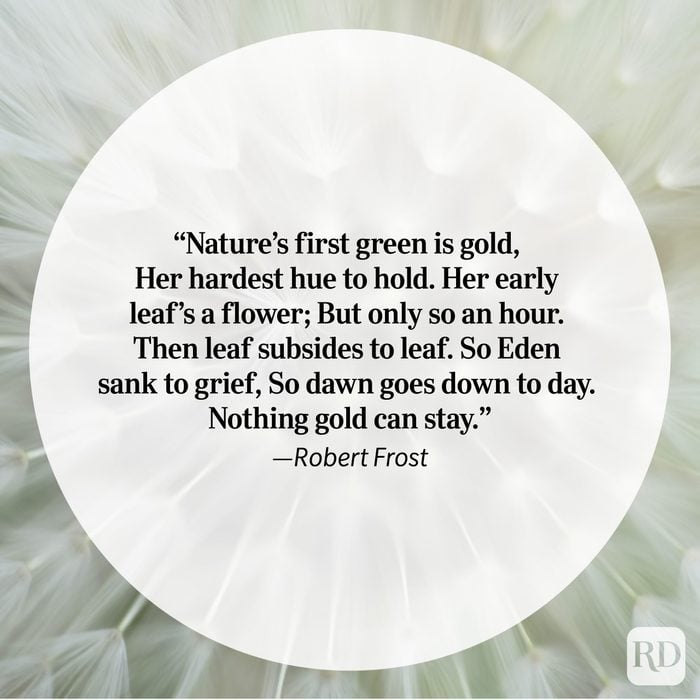 Nature Quote by Robert Frost