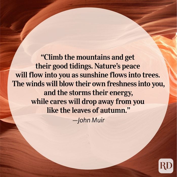 Nature Quote By John Muir