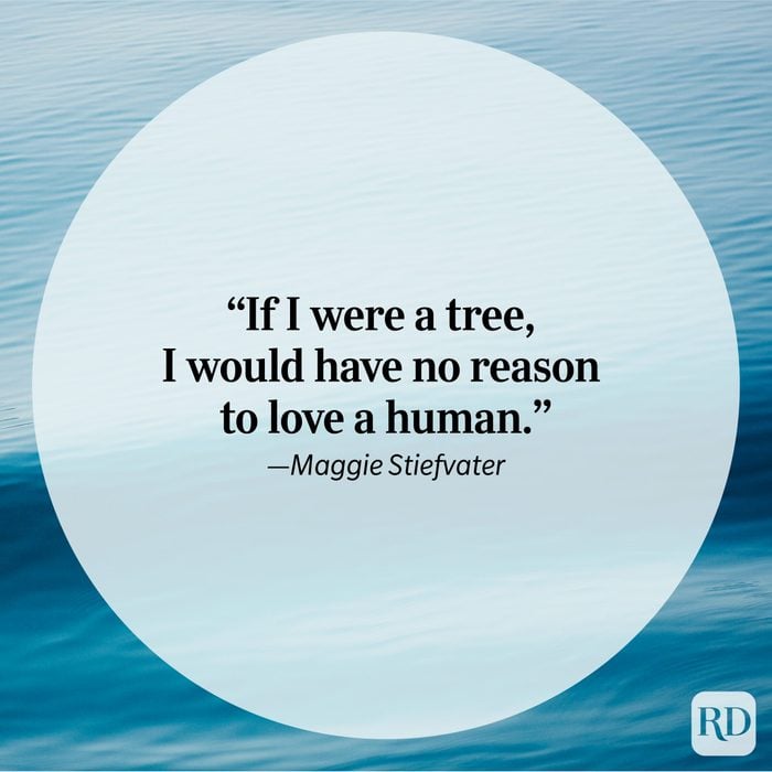 Nature Quote By Maggie Stiefvater