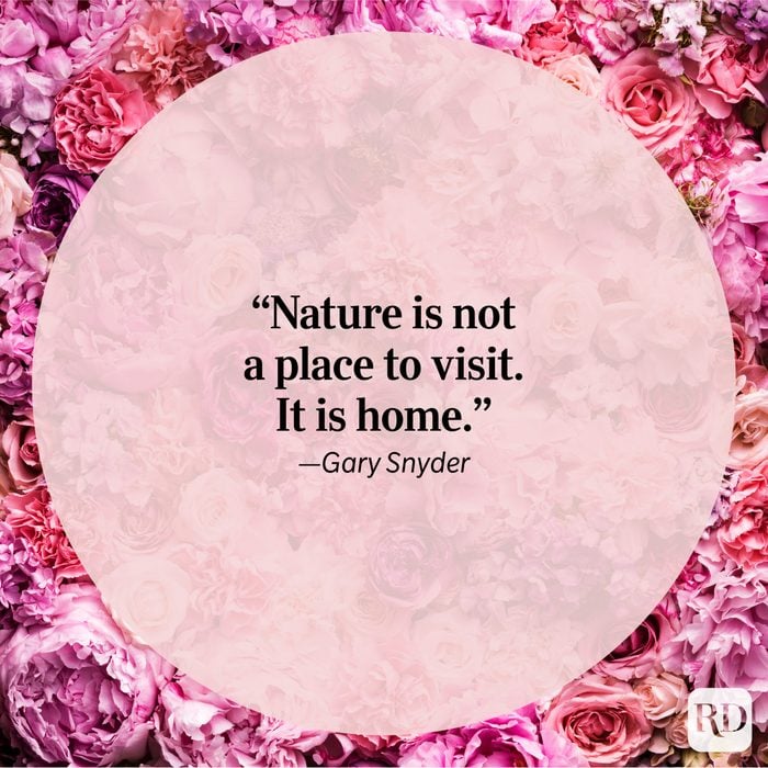 Nature Quote By Gary Snyder