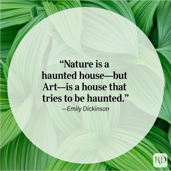 Nature Quote By Emily Dickinson