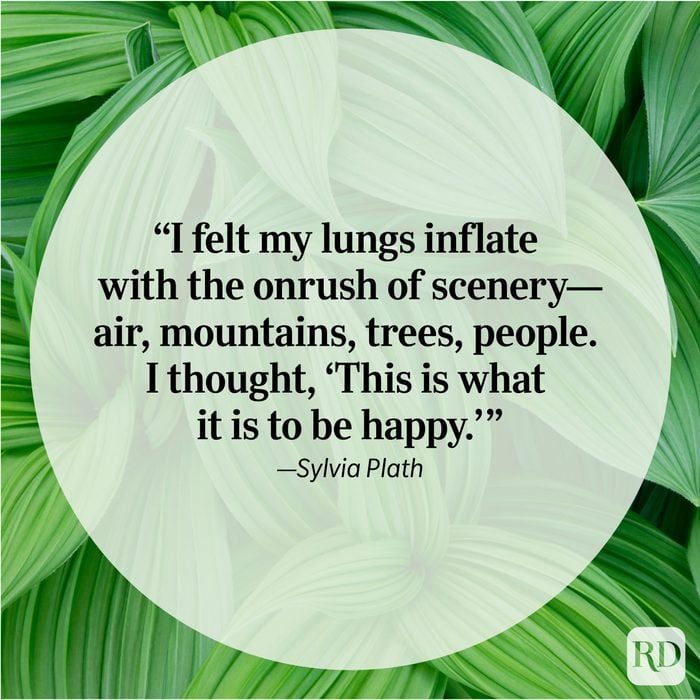 Nature Quote By Sylvia Plath