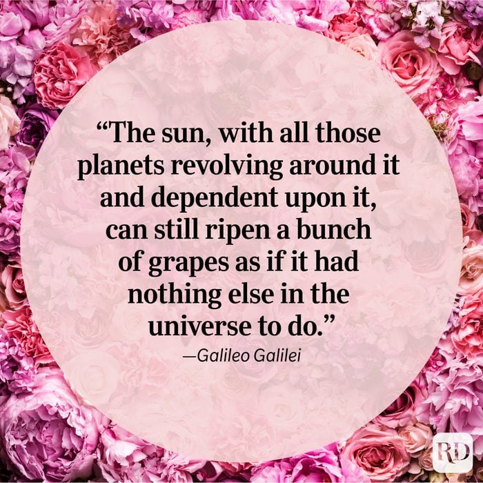 Nature Quote By Galileo Galilei