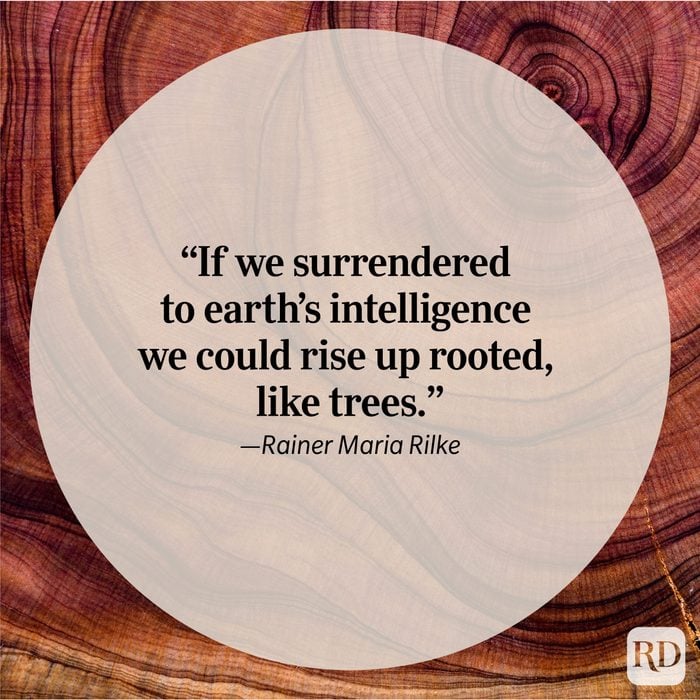 Nature Quote By Rainer Maria Rilke