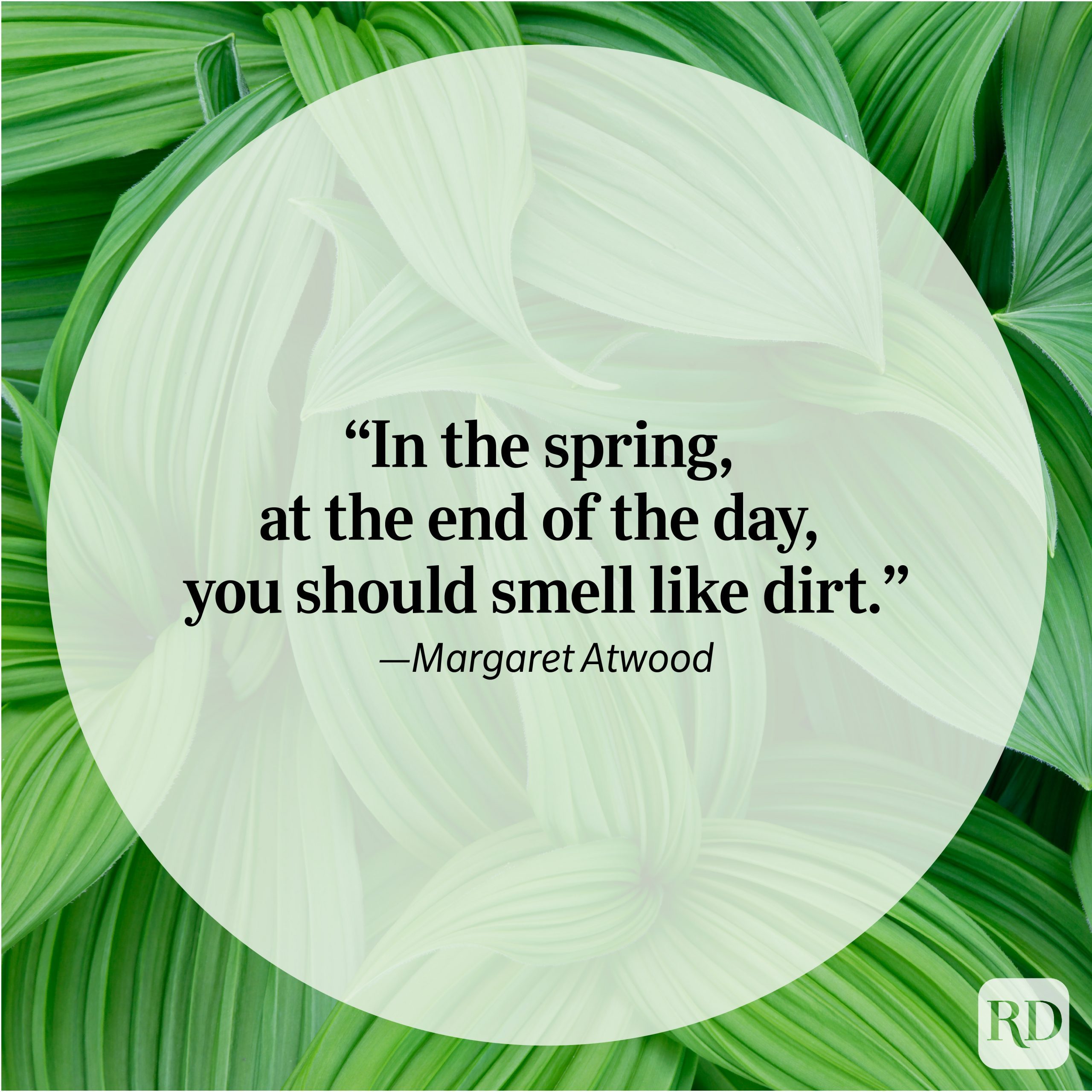 Nature Quote By Margaret Atwood